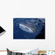 Whale Shark Breaks Surface Wall Decal