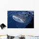 Whale Shark Breaks Surface Wall Decal