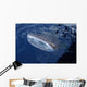 Whale Shark Breaks Surface Wall Decal