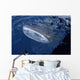 Whale Shark Breaks Surface Wall Decal