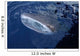 Whale Shark Breaks Surface Wall Decal