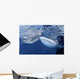 Two Whale Sharks Bump Wall Decal Design 2