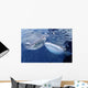 Two Whale Sharks Bump Wall Decal Design 2