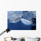 Two Whale Sharks Bump Wall Decal Design 2