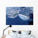 Two Whale Sharks Bump Wall Decal Design 2
