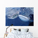 Two Whale Sharks Bump Wall Decal Design 2