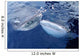 Two Whale Sharks Bump Wall Decal Design 2