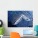 Two Whale Sharks Bump Wall Decal Design 1