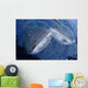 Two Whale Sharks Bump Wall Decal Design 1