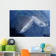 Two Whale Sharks Bump Wall Decal Design 1