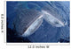 Two Whale Sharks Bump Wall Decal Design 1