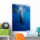 Whale Shark Feeds Surface Wall Decal Design 1