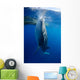 Whale Shark Feeds Surface Wall Decal Design 1