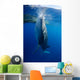 Whale Shark Feeds Surface Wall Decal Design 1