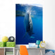 Whale Shark Feeds Surface Wall Decal Design 1