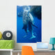 Two Whale Sharks Feeding Wall Decal Design 1