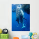 Two Whale Sharks Feeding Wall Decal Design 1