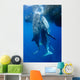 Two Whale Sharks Feeding Wall Decal Design 1