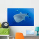 Diver Interacts with Whale Wall Decal Design 2