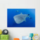 Diver Interacts with Whale Wall Decal Design 2