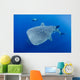 Diver Interacts with Whale Wall Decal Design 2