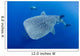Diver Interacts with Whale Wall Decal Design 2