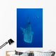 Diver Interacts with Whale Wall Decal Design 1