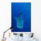 Diver Interacts with Whale Wall Decal Design 1