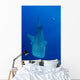 Diver Interacts with Whale Wall Decal Design 1