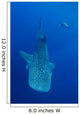 Diver Interacts with Whale Wall Decal Design 1