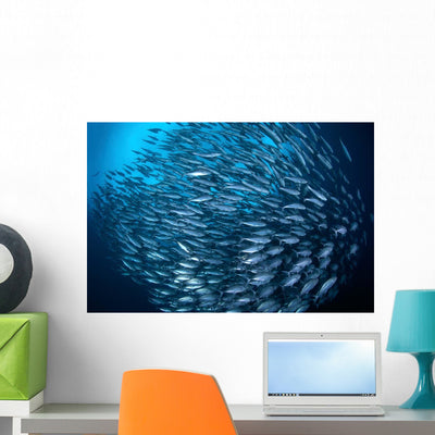 School Bigeye Trevally Swims Wall Decal shown on a wall