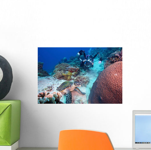 Diver and Hawksbill Turtle Wall Decal