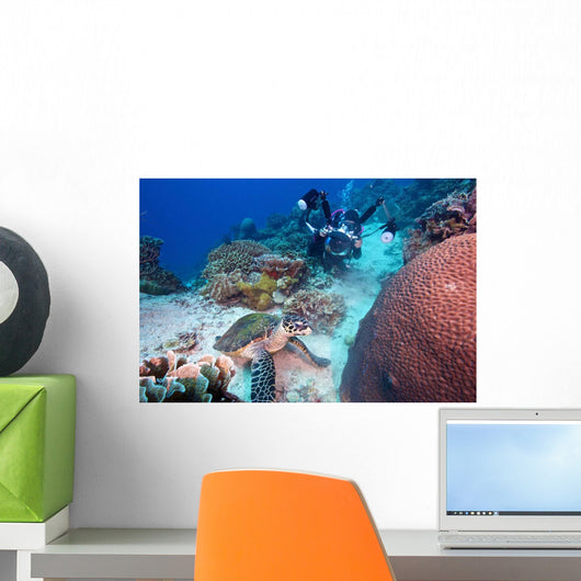 Diver and Hawksbill Turtle Wall Decal