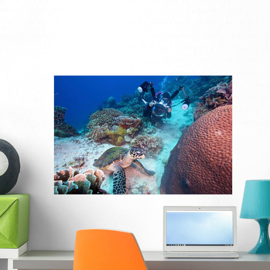 Diver and Hawksbill Turtle Wall Decal