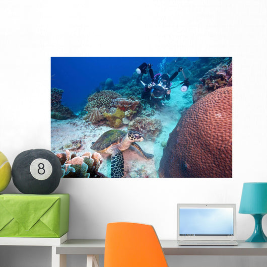 Diver and Hawksbill Turtle Wall Decal