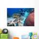 Diver and Hawksbill Turtle Wall Decal
