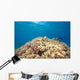 Green Sea Turtle Resting Wall Decal