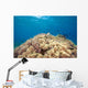 Green Sea Turtle Resting Wall Decal