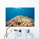 Green Sea Turtle Resting Wall Decal