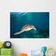 Green Sea Turtle Swimming Wall Decal Design 6
