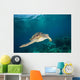 Green Sea Turtle Swimming Wall Decal Design 6