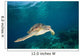 Green Sea Turtle Swimming Wall Decal Design 6