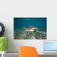 Green Sea Turtle Swimming Wall Decal Design 5