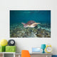 Green Sea Turtle Swimming Wall Decal Design 5