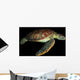 Green Sea Turtle Swimming Wall Decal Design 4