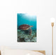 Green Sea Turtle Swimming Wall Decal Design 3