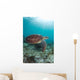 Green Sea Turtle Swimming Wall Decal Design 3
