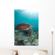 Green Sea Turtle Swimming Wall Decal Design 3
