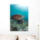 Green Sea Turtle Swimming Wall Decal Design 3