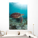 Green Sea Turtle Swimming Wall Decal Design 3